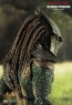 Falconer Predators - Hot Toys