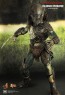 Falconer Predators - Hot Toys