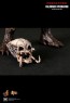 Falconer Predators - Hot Toys
