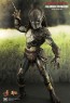 Falconer Predators - Hot Toys