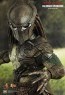 Falconer Predators - Hot Toys