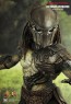 Falconer Predators - Hot Toys