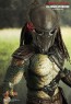 Falconer Predators - Hot Toys