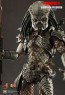 Guardian Predator (HotToys)