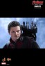 Hawkeyes - Avengers II - Hot Toys
