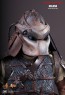 Noland Predator  - Hot Toys