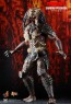 Shadow Predator - Hot Toys