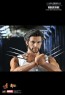 X-Men Wolverine Limited Edition - Hot Toys