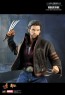 X-Men Wolverine Limited Edition - Hot Toys