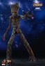 Hot Toys - Groot - Avengers: Infinity War