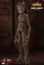Hot Toys - Groot & Rocket - Avengers: Infinity War