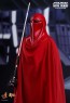 Royal Guard - Star Wars Episode VI - Hot Toy