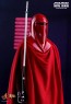 Royal Guard - Star Wars Episode VI - Hot Toy