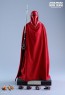 Royal Guard - Star Wars Episode VI - Hot Toy