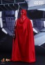 Royal Guard - Star Wars Episode VI - Hot Toy