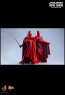 Royal Guard - Star Wars Episode VI - Hot Toy