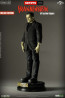 Infinite - Frankenstein's Monster - Universal Monsters - 1/6 Action Figure - Deluxe Edition