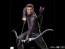 Iron Studios - Hawkeye - Clint Barton - BDS Art Scale
