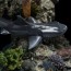 Iron Studios - King Namor - Black Panther: Wakanda Forever - Deluxe Art Scale