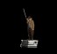 Iron Studios - Doc Brown - Back to the Future Part III - Art Scale