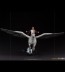 Iron Studios - Harry Potter and Buckbeak - Harry Potter - Deluxe Art Scale Statue 