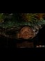 Iron Studios - Just The Two Raptors Statue - Jurassic Park - Deluxe - Art Scale Statue 