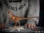 Iron Studios - Velociraptor - Jurassic Park: The Lost World - Art Scale 