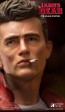 Star Ace - James Dean Red Jacket - My Favourite Legend 1/4 Statue