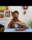 NECA - Ultimate Alf - Actionfigur