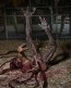 NECA - The Thing - Thing Dog Creature - Ultimate Deluxe