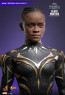 Hot Toys - Black Panther - Black Panther: Wakanda Forever