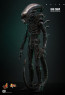 Hot Toys - Big Chap - Alien