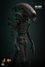 Hot Toys - Big Chap - Alien