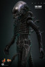 Hot Toys - Big Chap - Alien