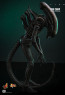 Hot Toys - Big Chap - Alien
