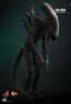 Hot Toys - Big Chap - Alien