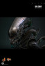 Hot Toys - Big Chap - Alien