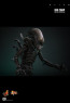 Hot Toys - Big Chap - Alien