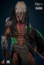 Hot Toys - Feral Predator Battle Damaged - Movie Prey 2022