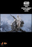 Hot Toys - Imperial Remnant AT-RT Driver and AT-RT