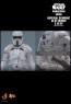 Hot Toys - Imperial Remnant AT-RT Driver and AT-RT