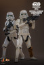 Hot Toys - Imperial Remnant Stormtrooper Deluxe Version