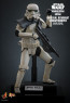 Hot Toys - Imperial Remnant Stormtrooper Deluxe Version