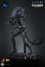 Hot Toys - Alien Warrior - Aliens