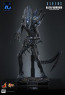 Hot Toys - Alien Warrior - Aliens