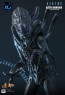 Hot Toys - Alien Warrior - Aliens