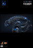 Hot Toys - Alien Warrior - Aliens