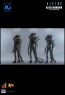 Hot Toys - Alien Warrior - Aliens