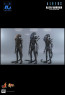 Hot Toys - Alien Warrior - Aliens