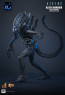 Hot Toys - Alien Warrior - Aliens - Deluxe Version